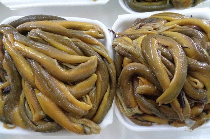 Lươn đồng tươi, đóng gói Xứ Nghệ