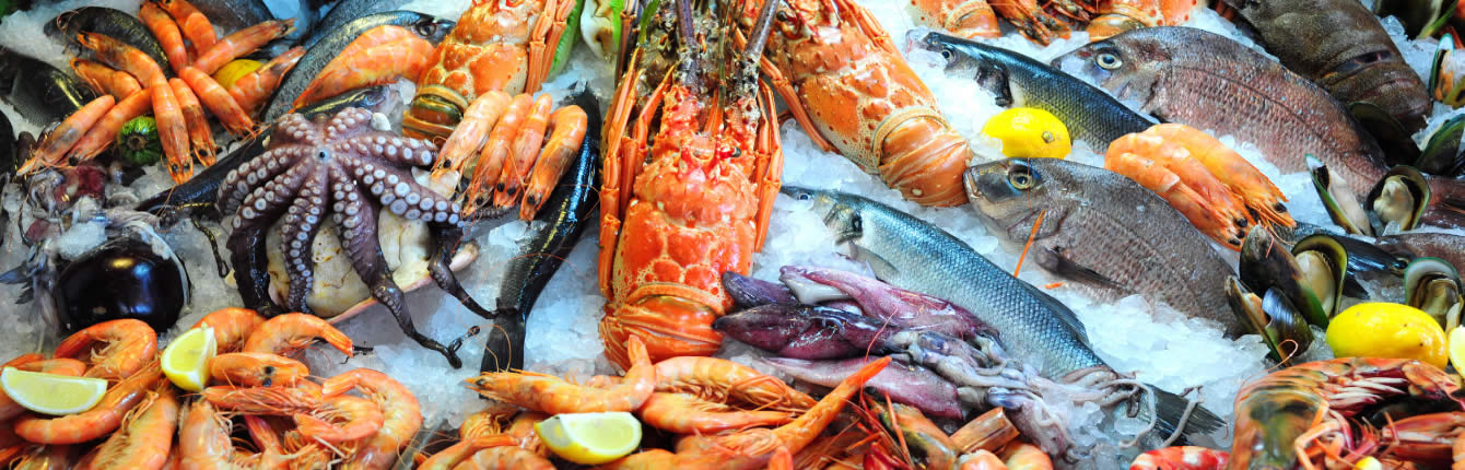 Hải sản sạch tại Vinh Nghệ An